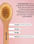 dry brush - grace & stella