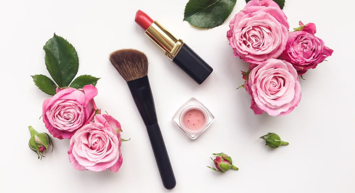 The Vegan Warehouse - The One-Stop-Shop For Vegan Beauty + Fashion - grace & stella